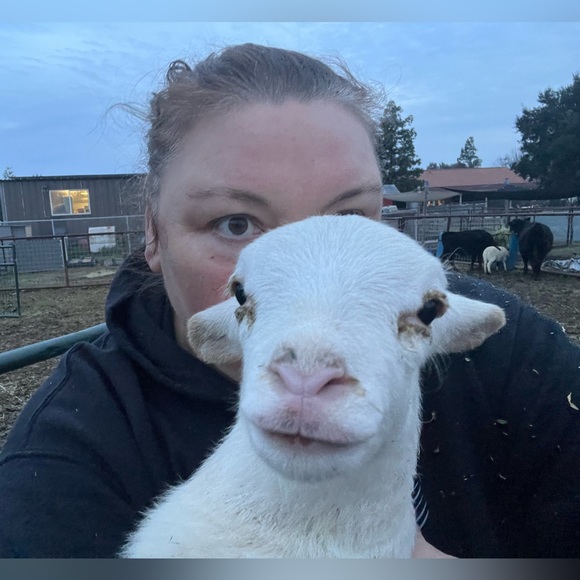 Meet your Posher, James - Picture 2 of 3